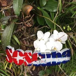 Meet your Posher, Harumi